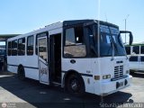 Cooperativa de Transporte Falcn 51