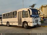 A.C. Don Augusto Malave Villalba 185
