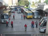 Garajes Paradas y Terminales Los Teques Encava E-NT900 Encava Isuzu Serie 900