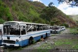 En Chiveras Abandonados Recuperacin 