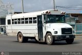 Particular ByNiobuses Thomas Built Buses Conventional Freightliner C2 (M2-Class)