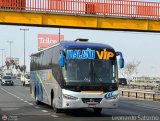 E.T. Maleo VIP 965 Xiamen Golden Dragon XML6127J12 Integral Cummins ISLe 290Hp