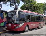 Bus Carpano 9930, por Michael Caraballo