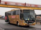 Transporte Flores Hermanos S.R.L (Per) 954