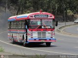 Transporte Colectivo Camag 03