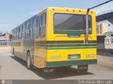 ZU - Colectivos Concepcin 075