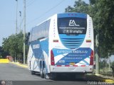 Expresos Amerlujo 419