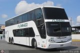 Expresos Flamingo 0103
