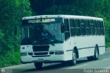 Coop. de Transp. Comunidad de Santa Luc�a 56
