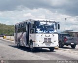 Transporte Panamericano 09