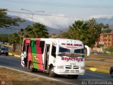 Transporte Virgen del Carmen 14, por Aly Baranauskas