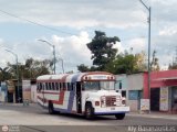 CA - Asoc. Coop. de Transporte La Arenosa R.L. 104 Blue Bird Convencional No Integral International S-Series Schoolmaster