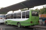 A.C. Transporte San Alejo 30