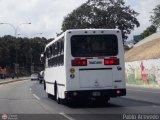 Coop. de Transporte La Candelaria 29