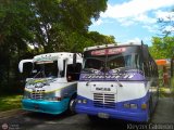 Colectivo Los Andes (Mrida - El Vigia) 24