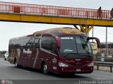 Empresa de Transporte Per� Bus S.A. 431
