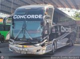 Cootransbol Ltda 37000 por Marcos David M�rquez