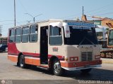 U.L.A.P. Machiques Maracaibo 25