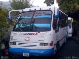 Unin de Conductores Trinidad S.C. 36