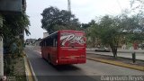 Organizacin Guaicamacuto 005, por Dainjerbeth Reyes