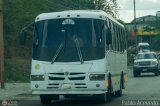 Coop. Transporte Menca de Leoni 111