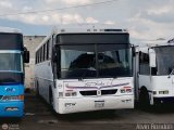 Expresos Los Andes 001