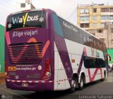 Way Bus (Per) 101, por Leonardo Saturno