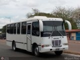 Transporte Nueva Generacin 0006