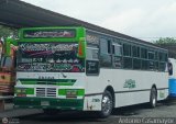 Transporte Bonanza 0019