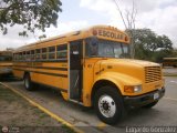 Universitarios y Escolares 3 Blue Bird Convencional No Integral International 4700
