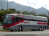 TE3000 Turismo Ejecutivo 3029