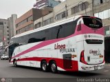 Lnea Peruana de Transportes S.A. (Per) 300, por Leonardo Saturno