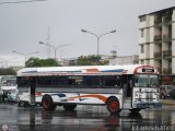 Lnea Duaca 37