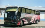 Expresos Flamingo 84