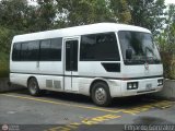 Particular CP-001 Mitsubishi Rosa  