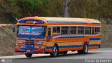 Colectivos Altagracia 15