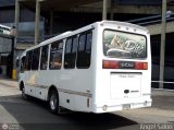 Colectivos El Vig�a 15 por �ngel Sal�n