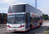 Expresos Occidente 241