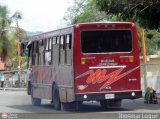 A.C. Transporte San Alejo 18, por Jhosmar Luque