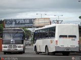 Garajes Paradas y Terminales Carupano Intercar Seboruco Turismo Iveco Tector 170E22T EuroCargo