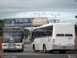 Garajes Paradas y Terminales Carupano