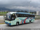 Transportes Occidentales 80