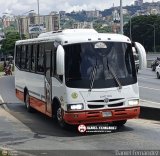 Coop. Transporte Menca de Leoni 119
