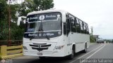 Expresos Horizonte 08 Sanchez Tati Scainem 2G Mercedes-Benz OF-1218