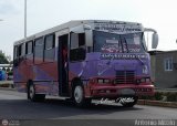 A.C. Transporte Campesino 81