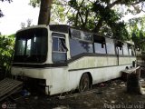 En Chiveras Abandonados Recuperacin AC0056, por Alejandro Curvelo