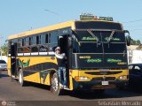 ZU - Colectivos Concepcin 024