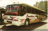 Ceminibuses 032 Marcopolo Allegro GV Volvo B58
