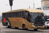Cetur S.R.L. 953. Comil Campione Invictus 1050 Volvo B380R