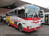 Unin Lnea Alberto Adriani C.A. 14 Autogago MidiGago Hino FD Turbo HO6CT
